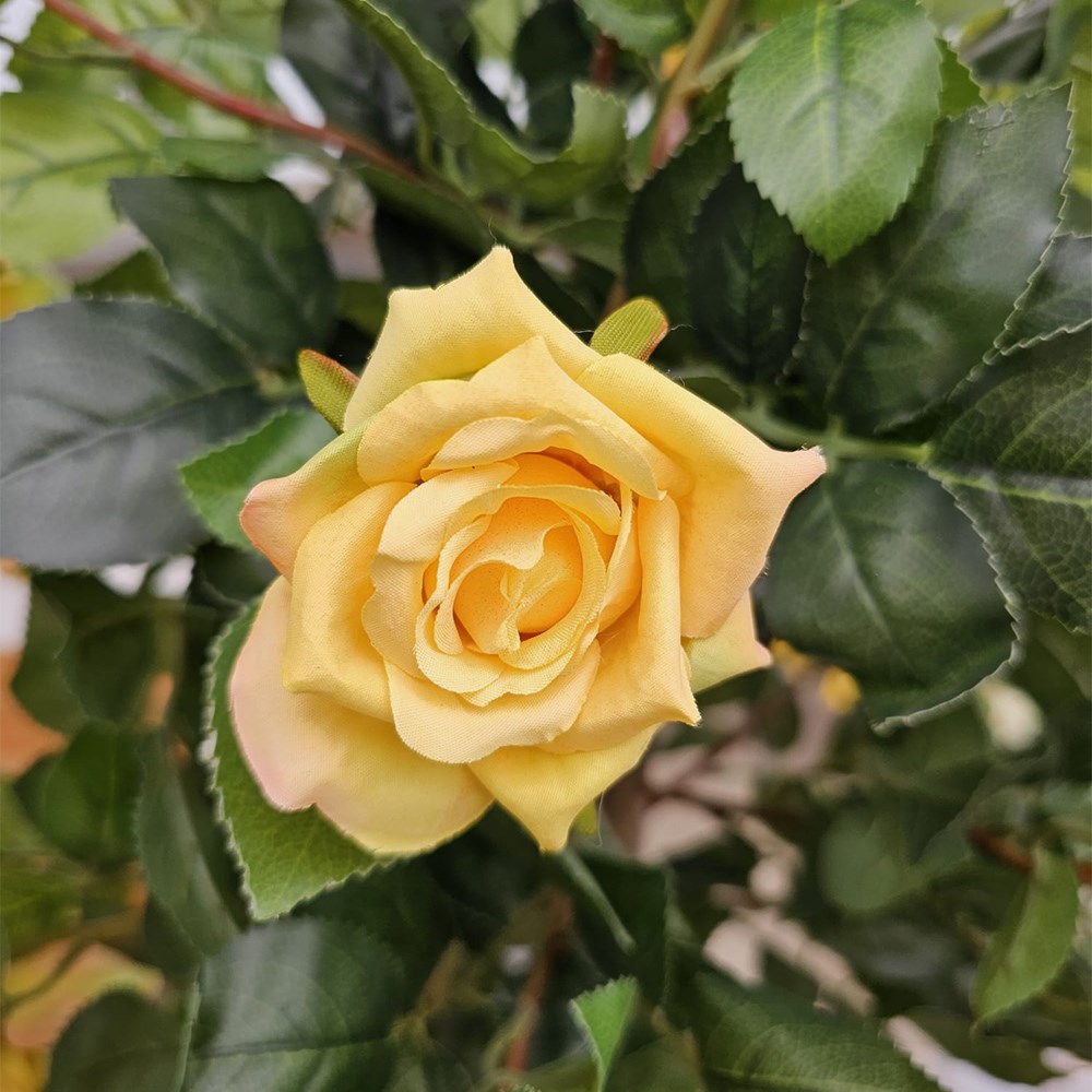 Regent's Roses Sunshine Yellow Artificial Plant 80cm