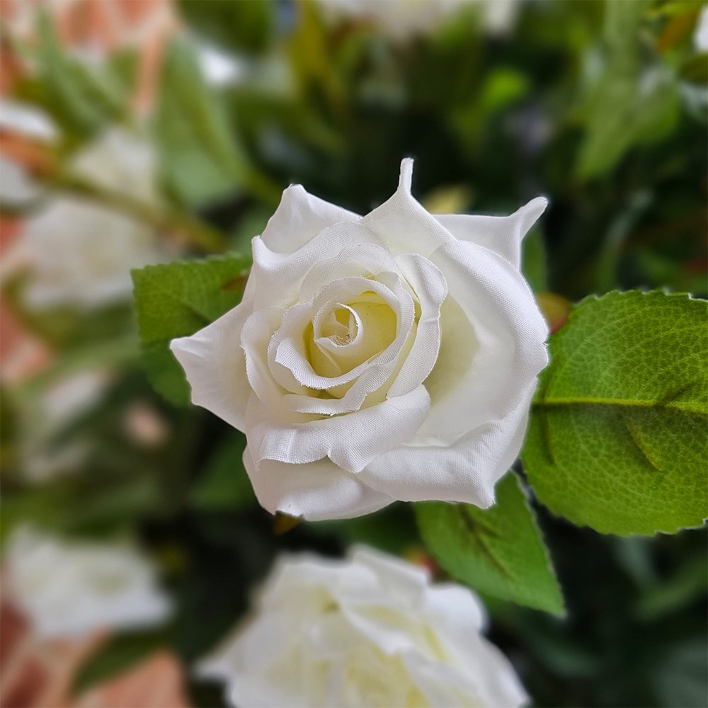 Regent's Roses White Artificial Plant 80cm