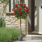 Regent's Roses Ruby Red Artificial Plant 120cm