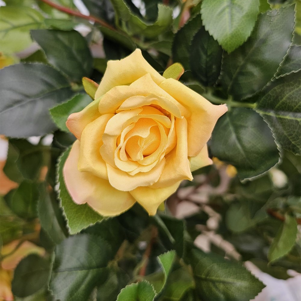 Regent's Roses Sunshine Yellow Artificial Plant 120cm