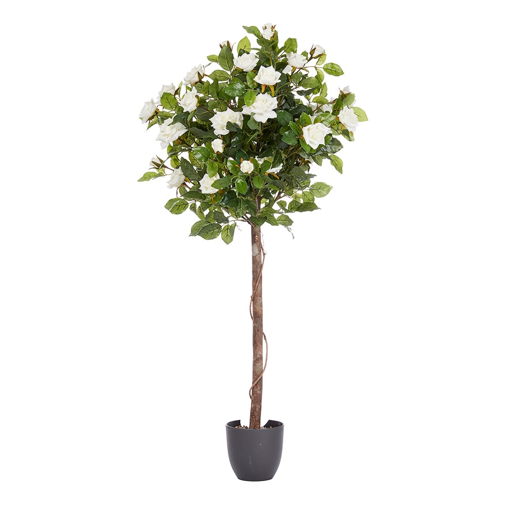 Regent's Roses White Artificial Plant 120cm