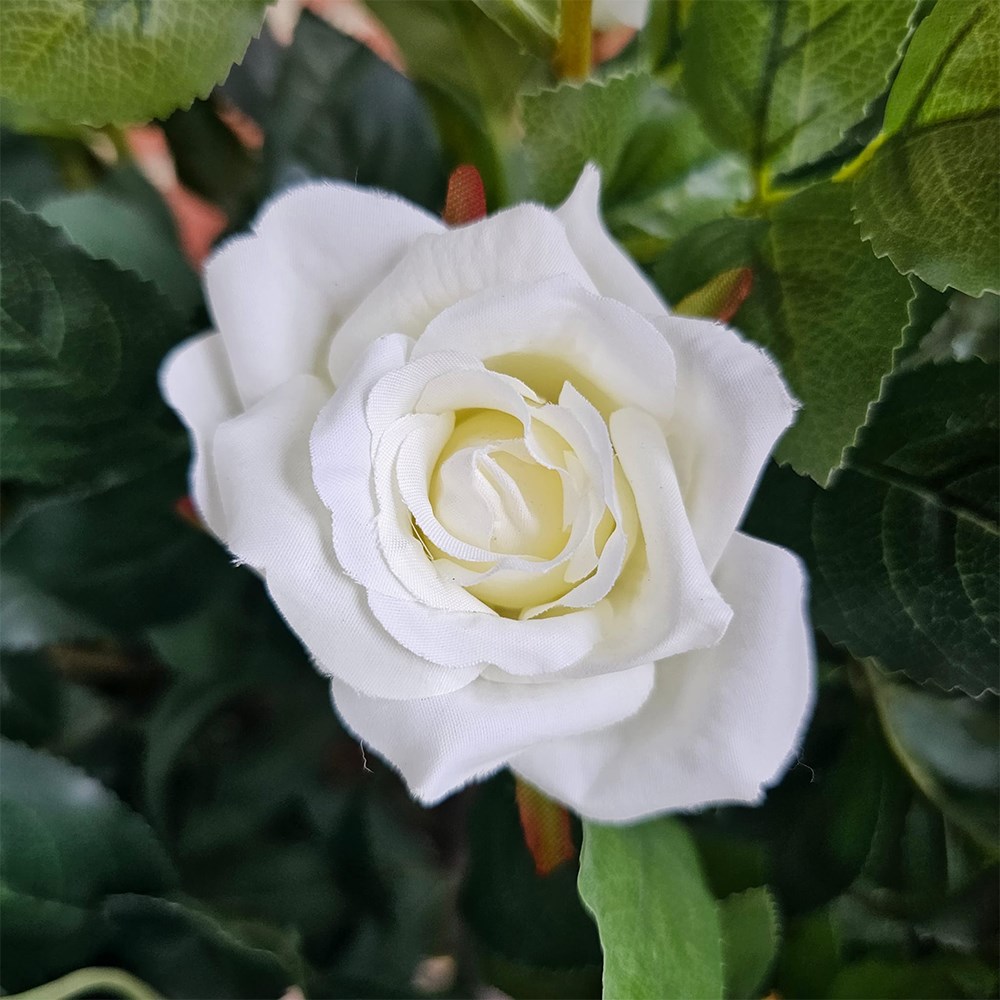 Regent's Roses White Artificial Plant 120cm