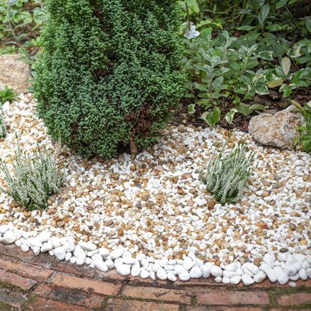 Tuscan Glow 10-20mm Champagne & White Blend Dolomite & Quartz Decorative Stone