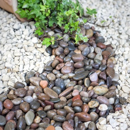 Scottish Tweed Pebbles 20-30mm Brown & Grey High Quality Decorative Stone