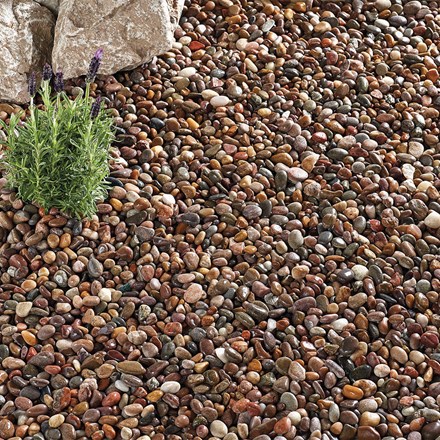 Caledonian Pebbles 14-20mm Brown & Grey Decorative Stone