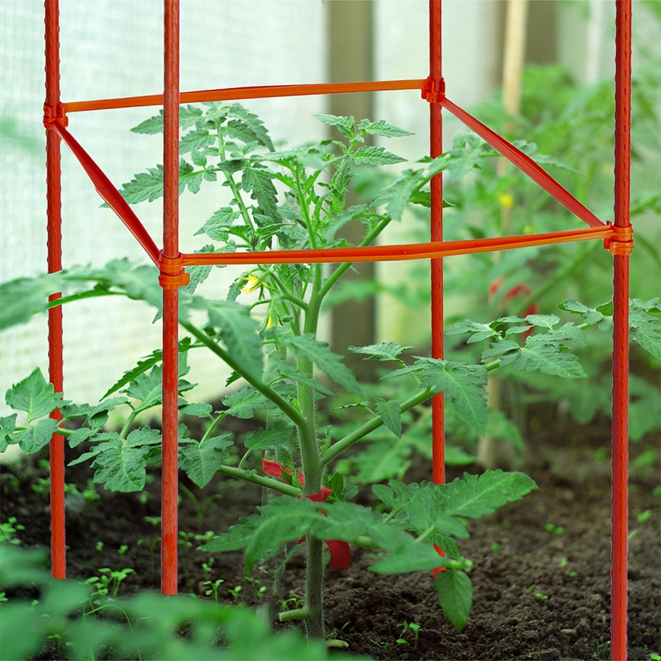 Tomato Snap & Go! Plant Support System