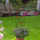 Ladybird Pot Trellis Black Metal Stylish Plant Support