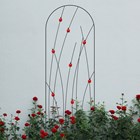 Ladybird Black Metal Trellis Plant Support