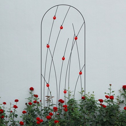 Ladybird Pot Trellis Black Metal Stylish Plant Support