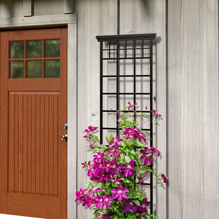 Mission Wall Trellis Black Metal Plant Support