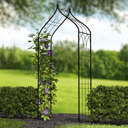 Ogee Black Metal Arch Top Garden Arbor with Finials