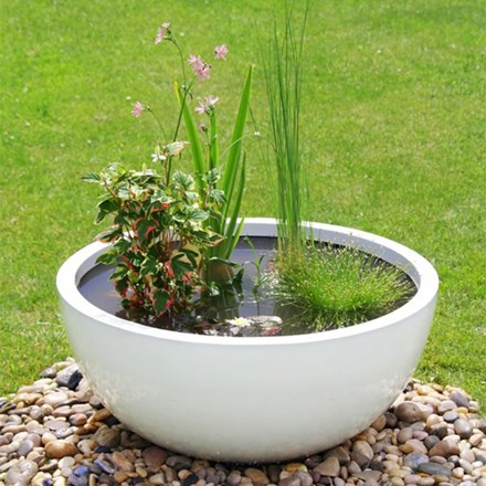 Pond In a Pot Kit With White Gloss Planter
