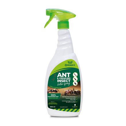Organ-X Ant and Insect Killer Spray