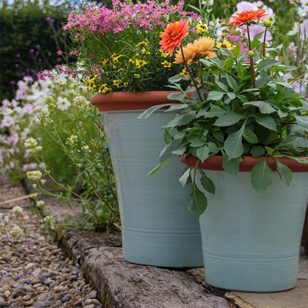 Extra Large Kitchen Planter | Terracotta | Sage