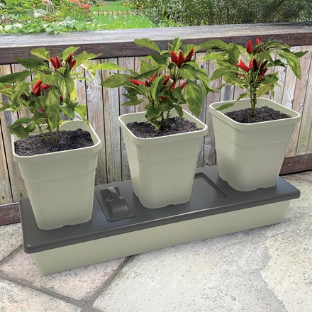 Triogrow Self Watering Planter