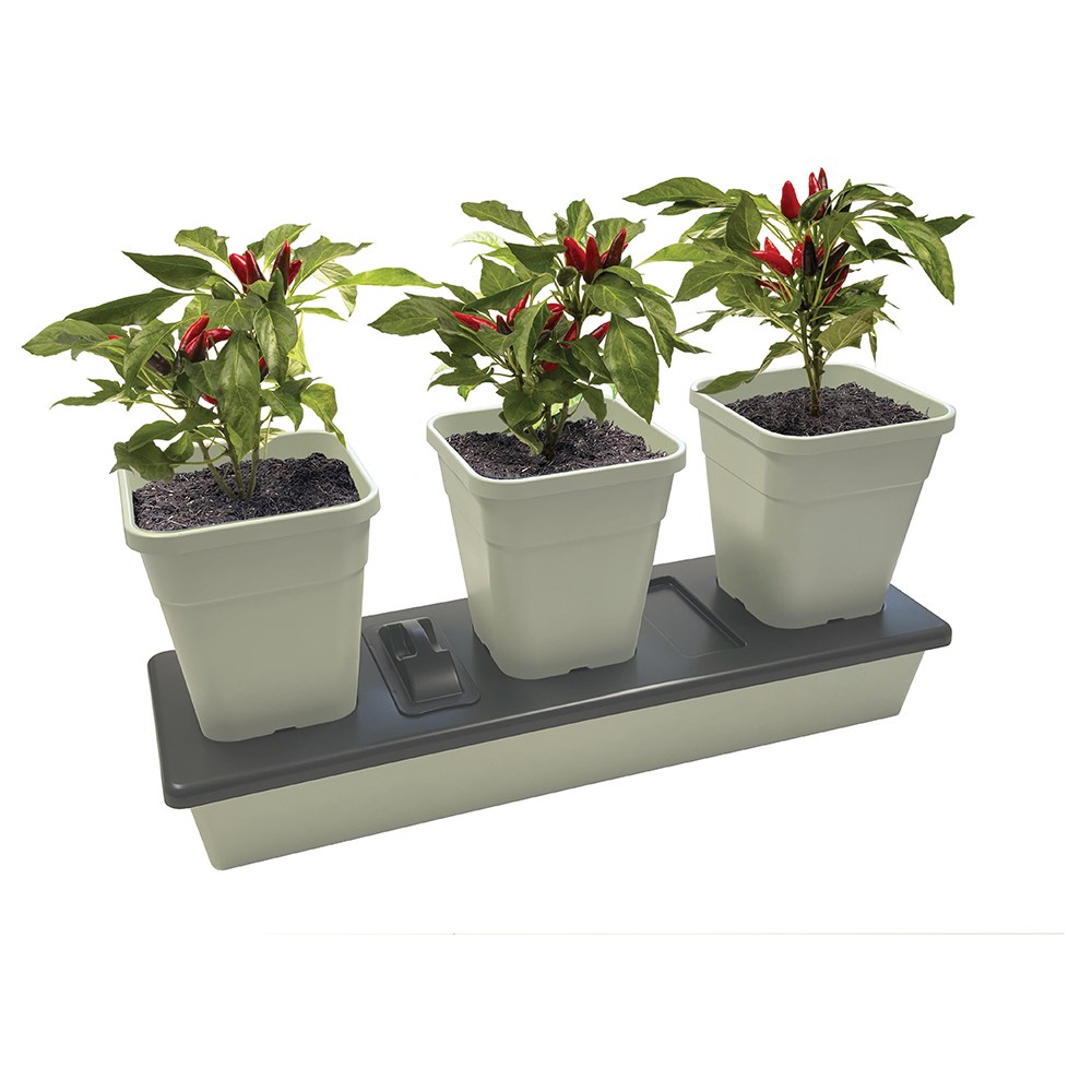Triogrow Self Watering Planter