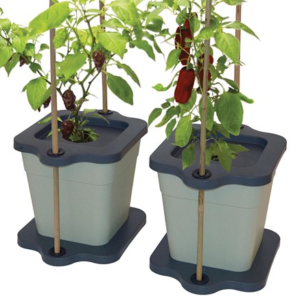 Cane Grip Grow Pots