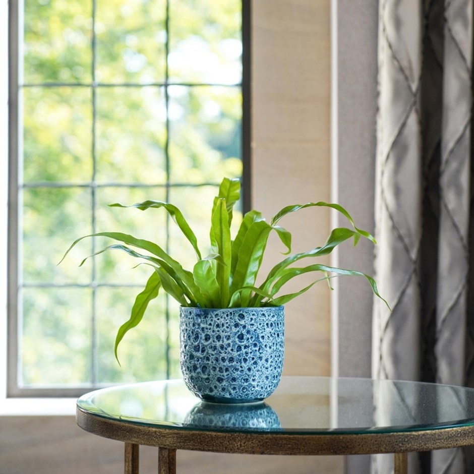 Sapphire Reactive Glaze Ceramic Planter