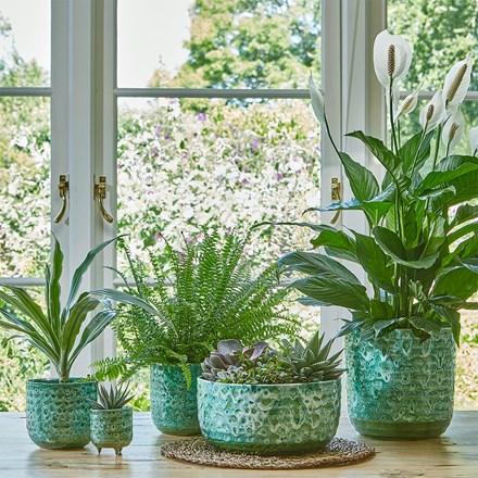 Emerald Reactive Glaze Ceramic Indoor Pot 18cm