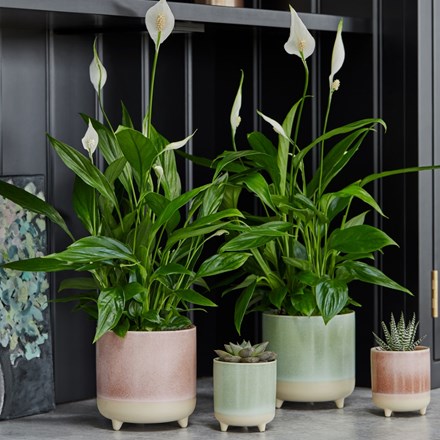 Jolie Mint Matte 3-Leg Ceramic Indoor Pot 12cm