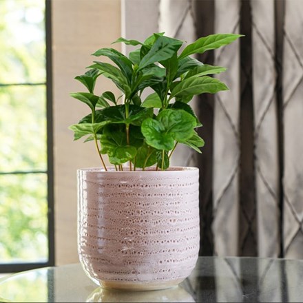 Morganite Reactive Ceramic Indoor Pot 13cm