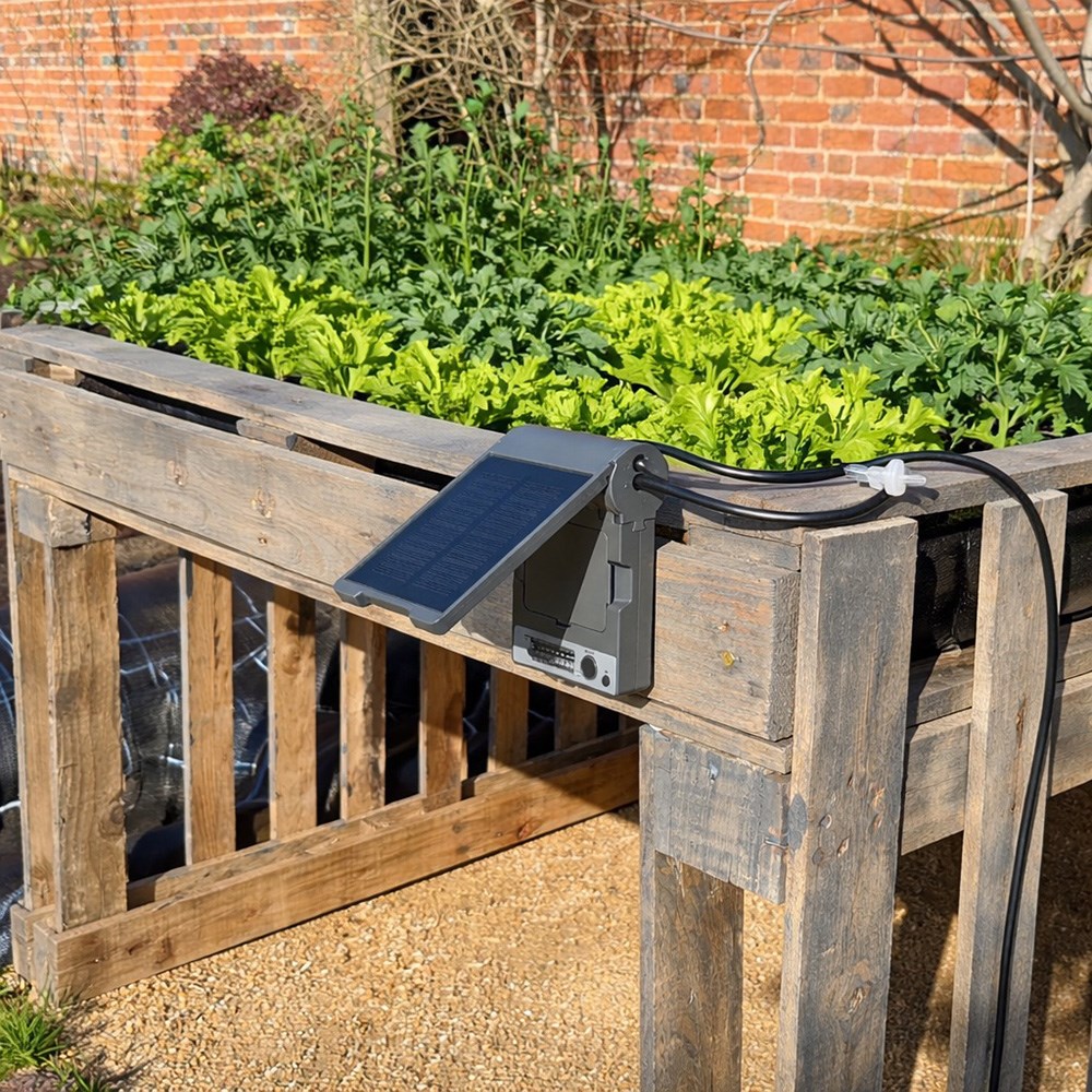 Solar Powered Automatic Drip Irrigation System