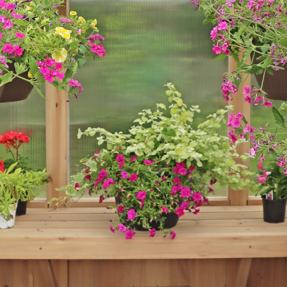 Meridian Apex Greenhouse | Cedar Wood | 6.7ft x 6ft