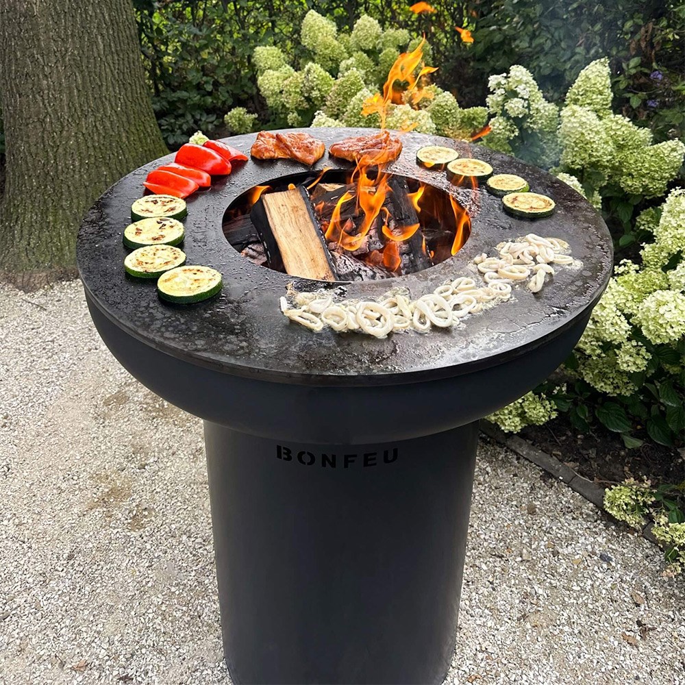 BonBiza Plancha Grill & Fire Pit