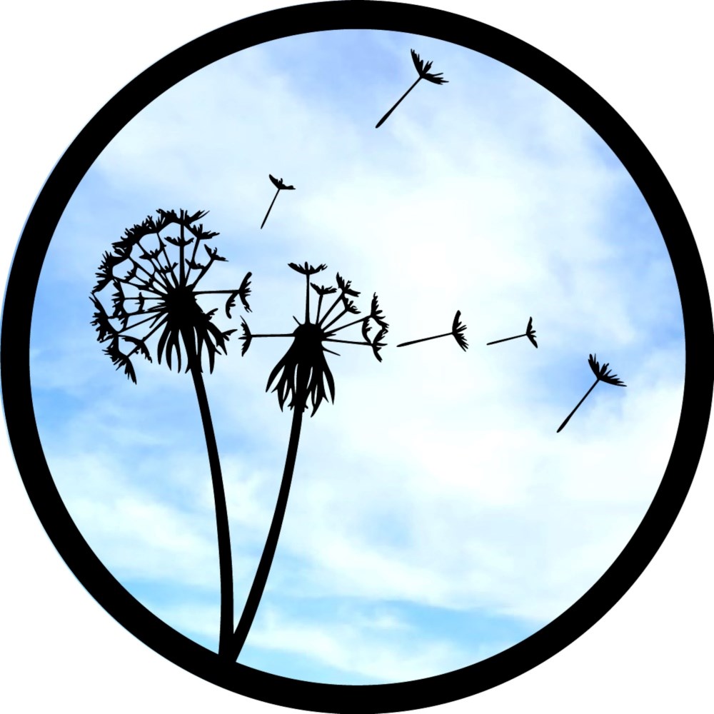 Dandelion In The Wind Acrylic Round Mirror 33cms