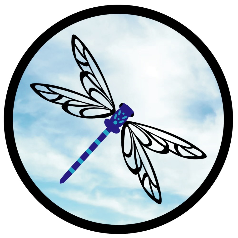 Dragonfly Acrylic Round Mirror 33cms
