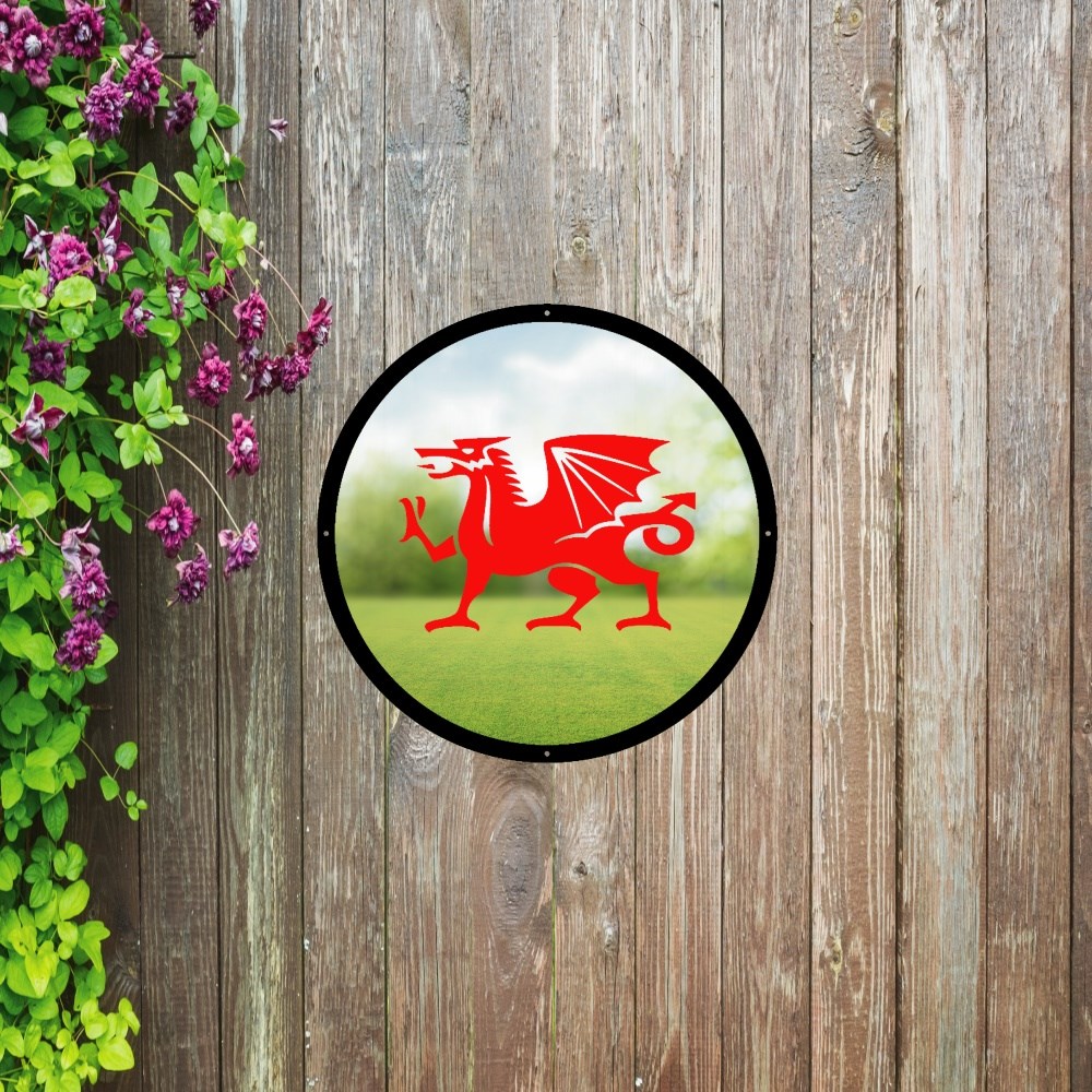 Welsh Dragon Painted Acrylic Round Mirror