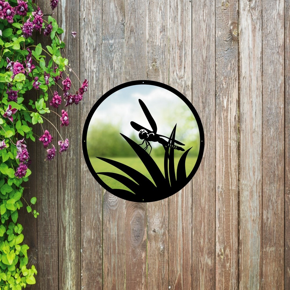 Little Dragonfly Painted Acrylic Round Mirror