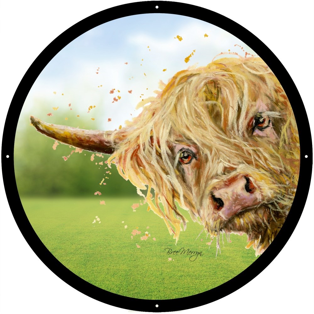 Brody Acrylic Painted Mirror 33cms