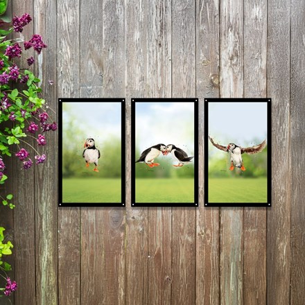Puffin Parade (Set of 3) Acrylic Painted Mirror 35cms x 22cms
