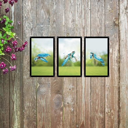 Turtle Tribe (Set of 3) Acrylic Painted Mirror 35cms x 22cms