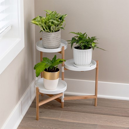 Folding Eucalyptus Teak-Finish Plant Stand With Trays