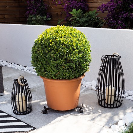 St Helens Home and Garden Adjustable Width Flower Pot Mover