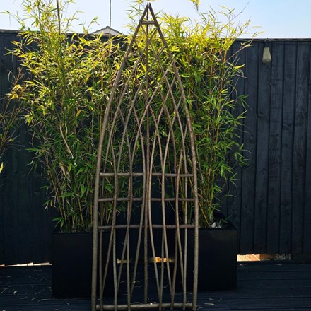 Extra Strong Framed Gothic Willow Trellis 180 x 60cm