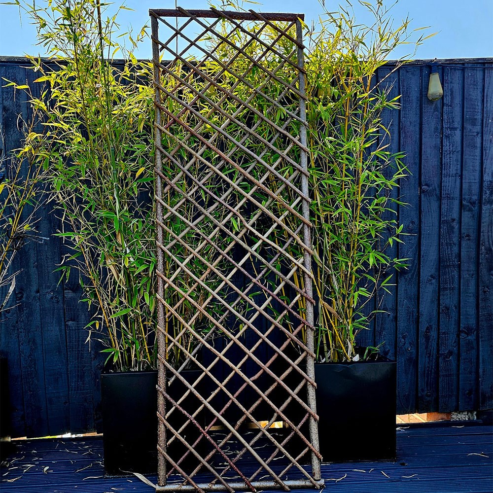 Extra Strong Framed Willow Trellis