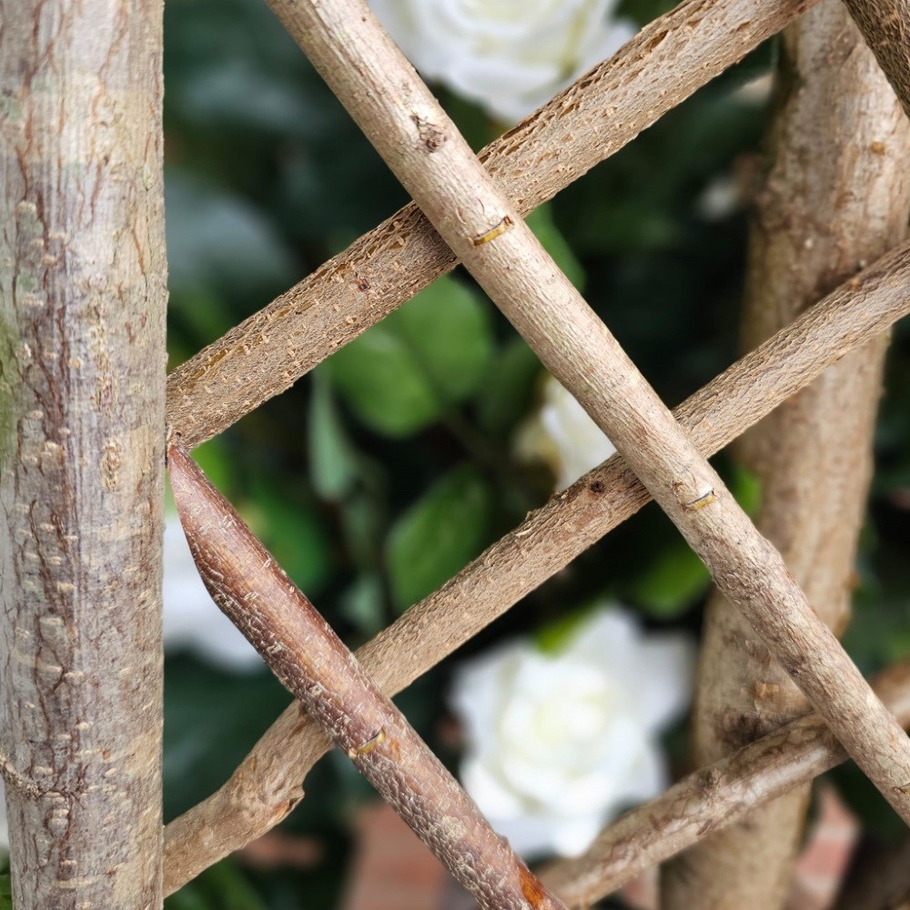 Extra Strong Framed Willow Trellis