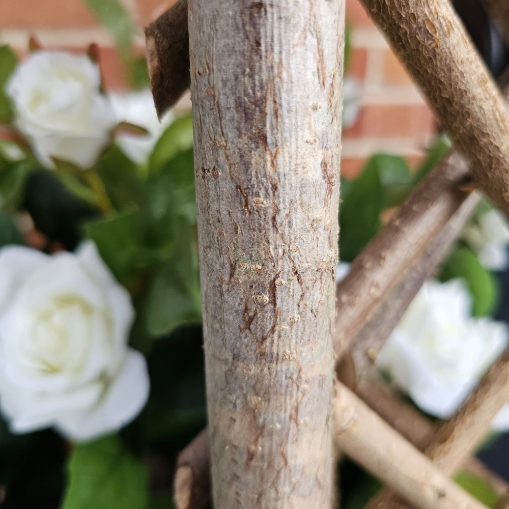 Extra Strong Framed Willow Trellis