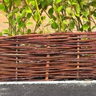 Natural Woven Willow Lawn Edging