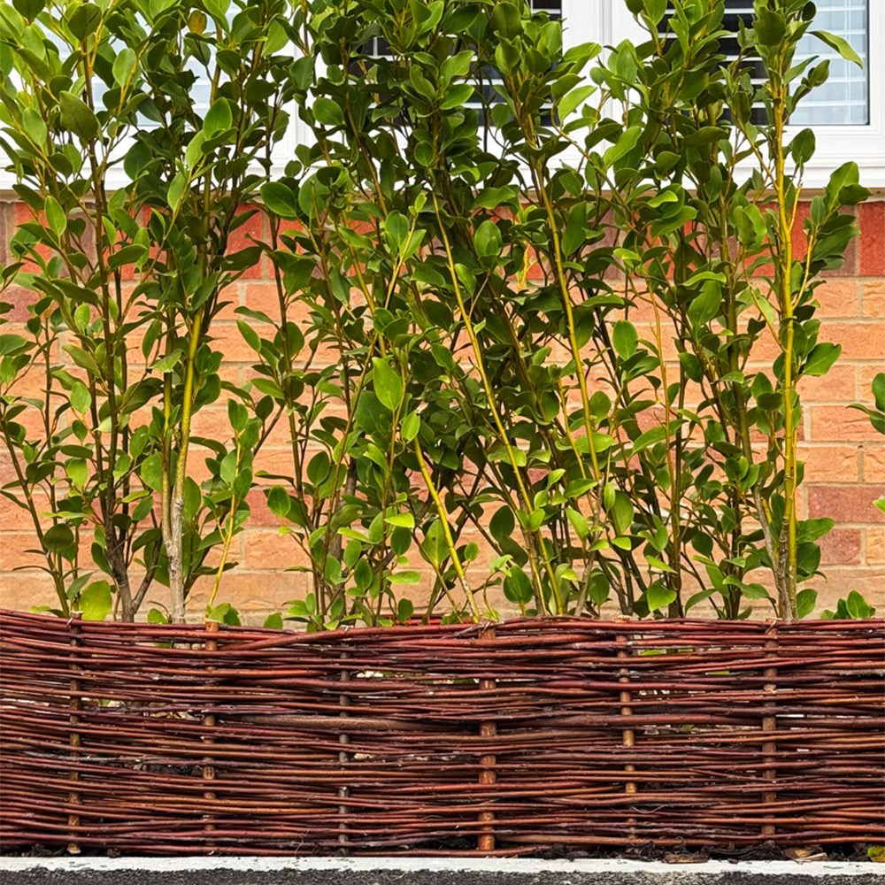 Natural Woven Willow Lawn Edging