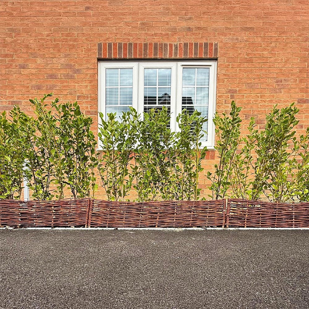 Natural Woven Willow Lawn Edging