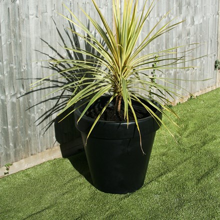 The Classic Tree Planter Black