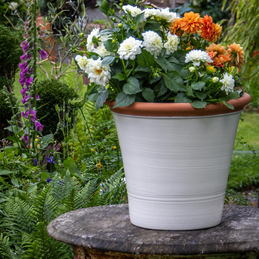Cream Terracotta Kitchen Planter