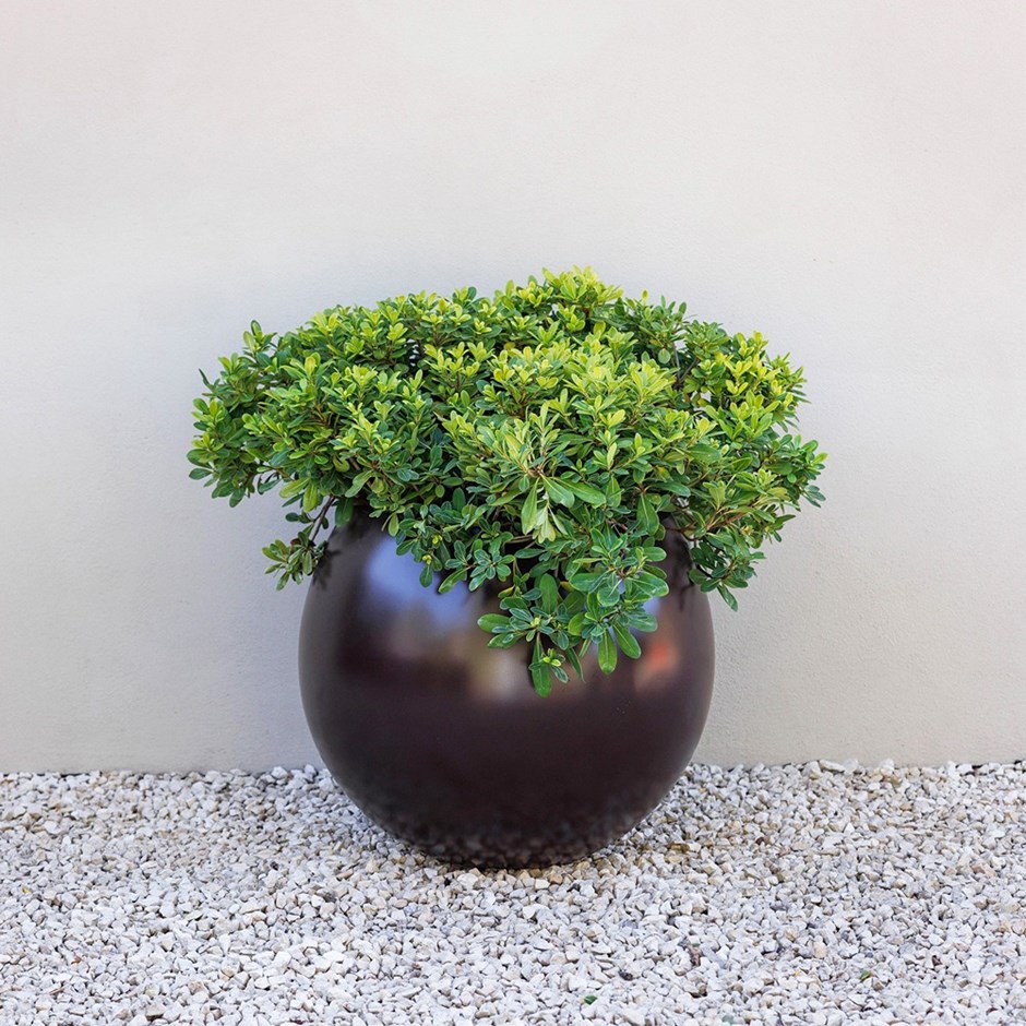 Volterra Fibreglass Ball Planter