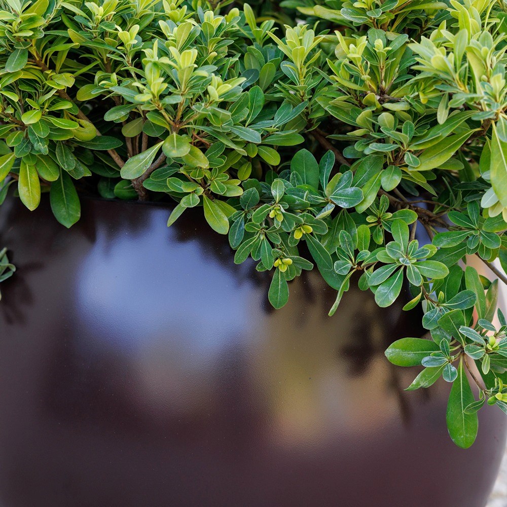 Volterra Fibreglass Ball Planter