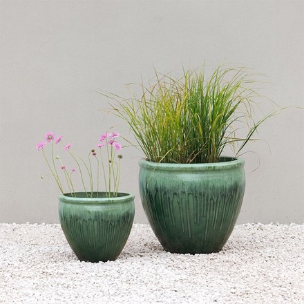 Green glazed terracotta bowl planter with gold drip rim - small