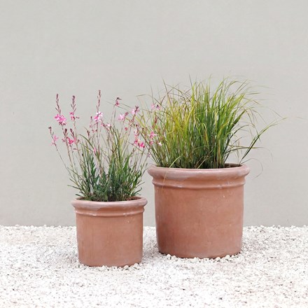 Terracotta cyclinder planter with rim - small